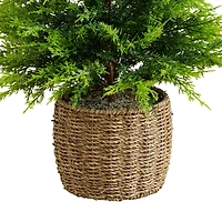 3ft. Pre-Lit Artificial Lightly Snowed Cypress Christmas Tree with 38 Warm White LED Lights in Decorative Weaved Basket
