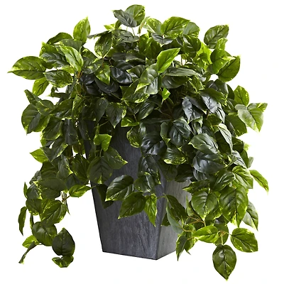 2.5ft. Hanging Pothos with Slate Planter