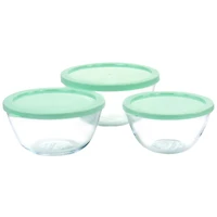 Martha Stewart Mint Borosilicate Glass Prep Bowl Set with Plastic Lids
