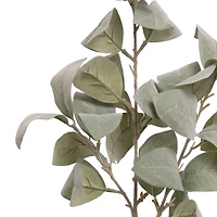 33.5" Light Green Eucalyptus Stem by Ashland®