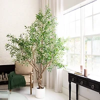 8ft. Artificial Grand Olive Tree in White Decorative Planter