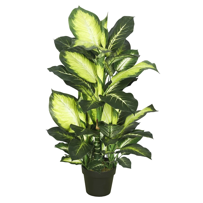 3.3ft. Potted Artificial Green & White Dumb Cane Tree
