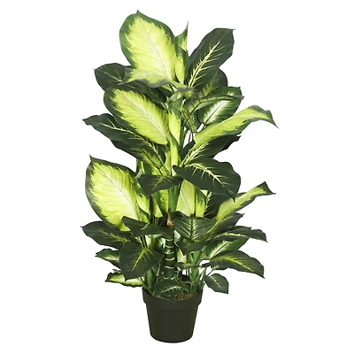 3.3ft. Potted Artificial Green & White Dumb Cane Tree