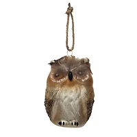 Hello Honey® 4" Brown Owl Glass Ornament with Feathers