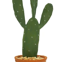16" Potted Cactus Tabletop Décor by Ashland®