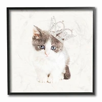 Stupell Industries Kitten Royalty, 12" x 12"