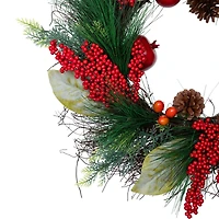 24" Unlit Autumn Harvest Mixed Pine, Berry & Nut Thanksgiving Fall Wreath