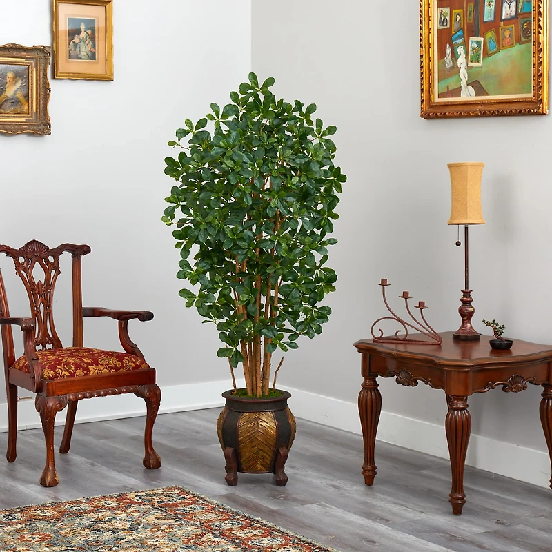 5.5ft. Black Olive Tree with in Decorative Planter