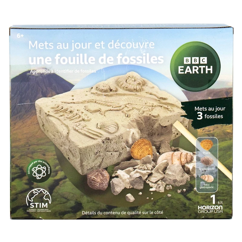 BBC Earth Excavate & Discover Fossil Dig
