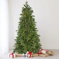 6.5ft. Pre-Lit Real Touch™️ Rosemary Emerald Angel Pine Artificial Christmas Tree, Warm White LED Lights
