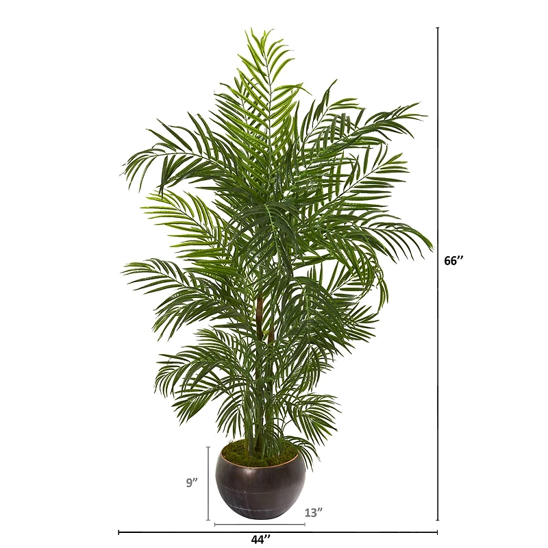 5.5ft. Areca Palm Tree in Brown Planter