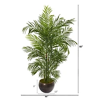 5.5ft. Areca Palm Tree in Brown Planter