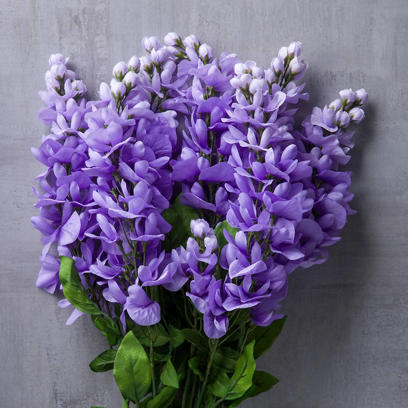 Purple Wisteria Bush by Ashland®