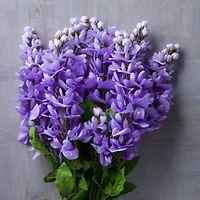 Purple Wisteria Bush by Ashland®