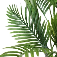 5ft. Potted Areca Palm Tree
