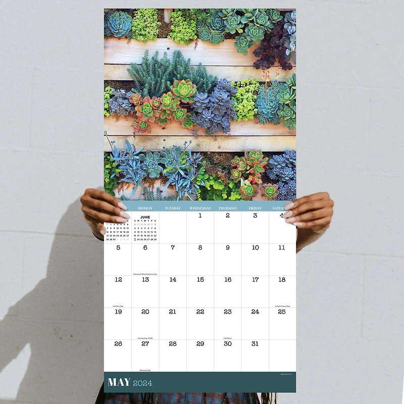 TF Publishing 2024 Succulents Wall Calendar