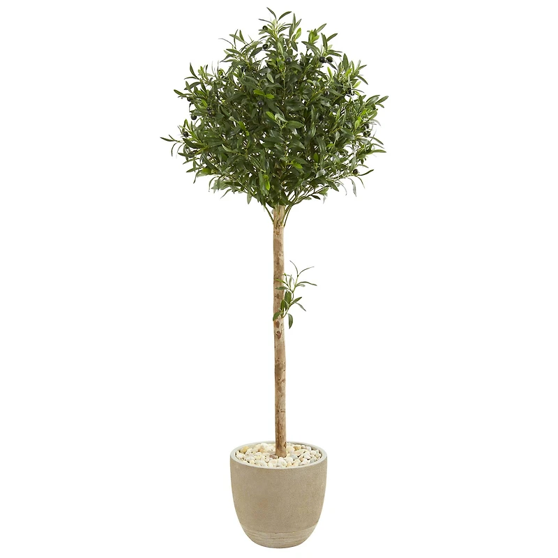 5ft. Olive Topiary Tree in Sand Stone Planter