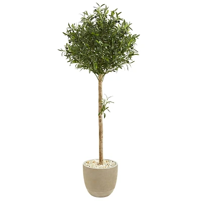 5ft. Olive Topiary Tree in Sand Stone Planter