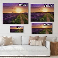 Designart - Lavender Field At Dawn II