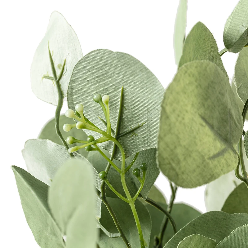 Eucalyptus Bush by Ashland®
