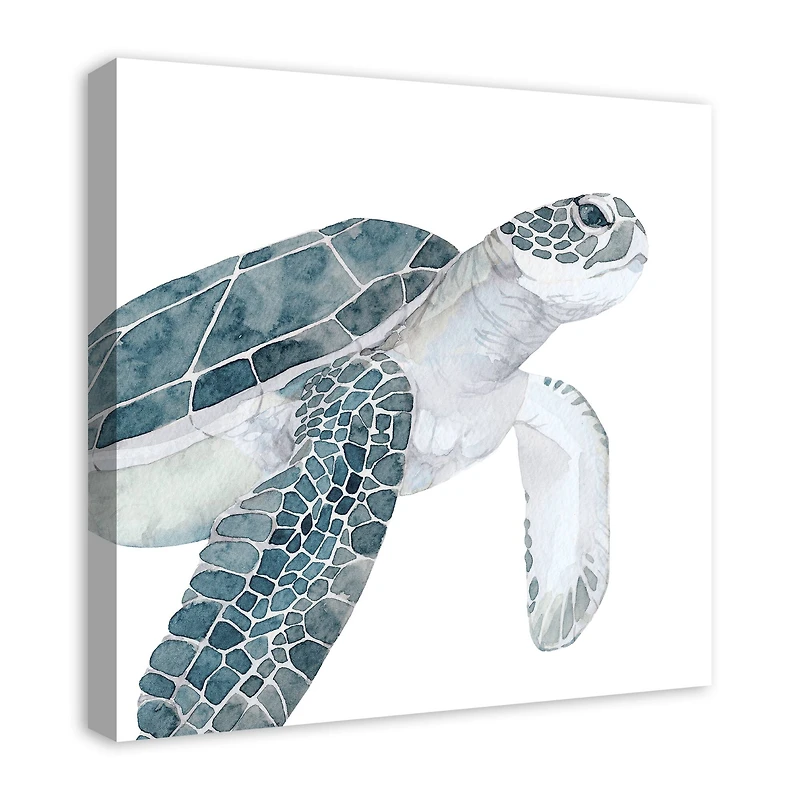 Sea Turtle Swimming 24" x 24" Canvas Wall Art