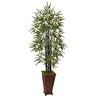 5.5ft. Black Bamboo Tree in Decorative Planter