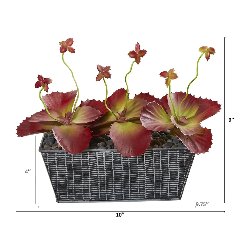 10" Succulent Plant in Embossed Tin Planter