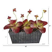 10" Succulent Plant in Embossed Tin Planter