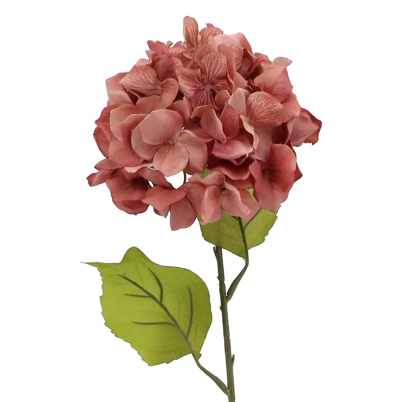 Blush Hydrangea Stem by Ashland®