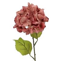 Blush Hydrangea Stem by Ashland®