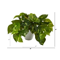 9" Variegated Pothos Plant in Decorative White Planter