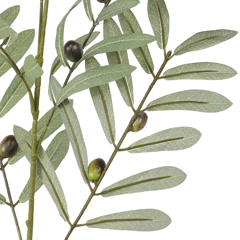 36" Olive Berry Branch by Ashland®