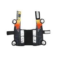 Best Furry Friends Hot Rod Pet Costume