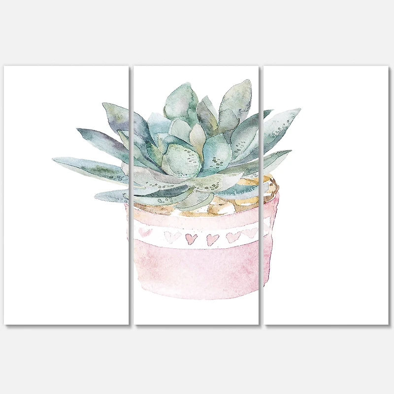 Designart - Cactus and Succulent House Plants II