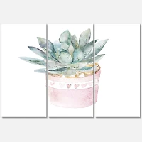 Designart - Cactus and Succulent House Plants II