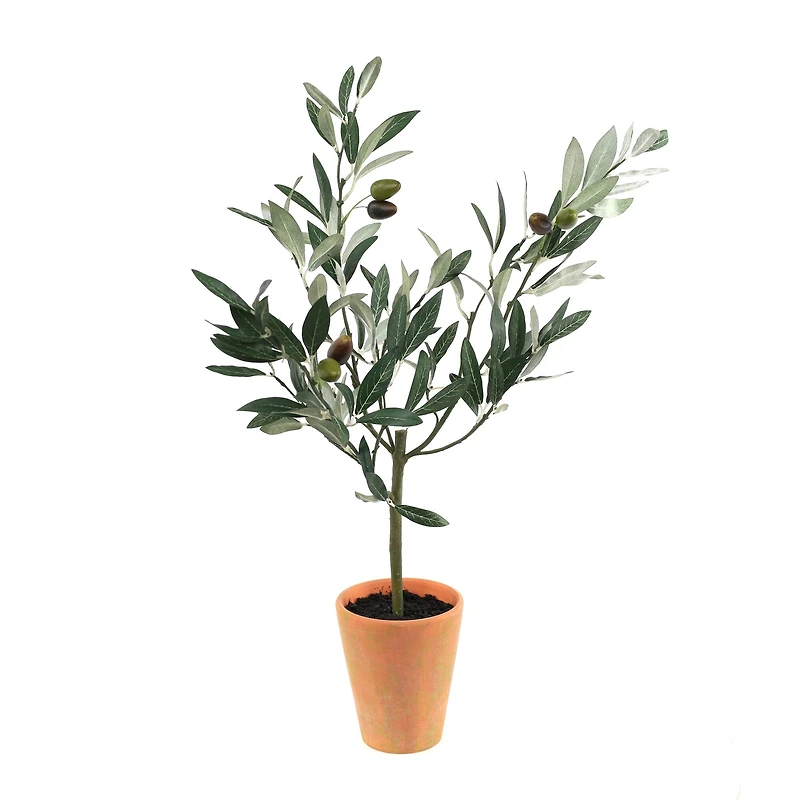 22" Potted Olive Tree Topiary