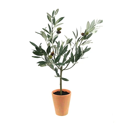 22" Potted Olive Tree Topiary