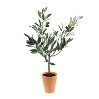 22" Potted Olive Tree Topiary