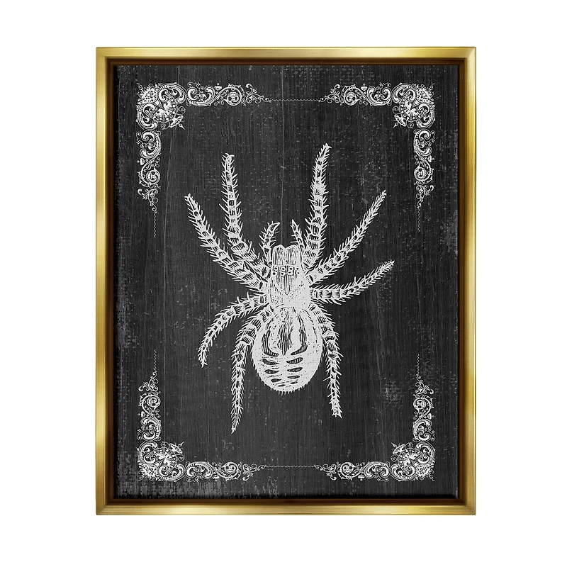 Stupell Industries Black & White Spider Framed Floater Canvas Wall Art