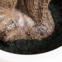 6ft. Artificial Audrey Ficus Leaf Tree in White Decorative Planter