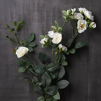 12 Pack: Cream Kate Rose Spray by Ashland®