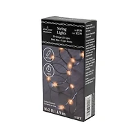 50ct. Orange LED String Lights by Ashland®