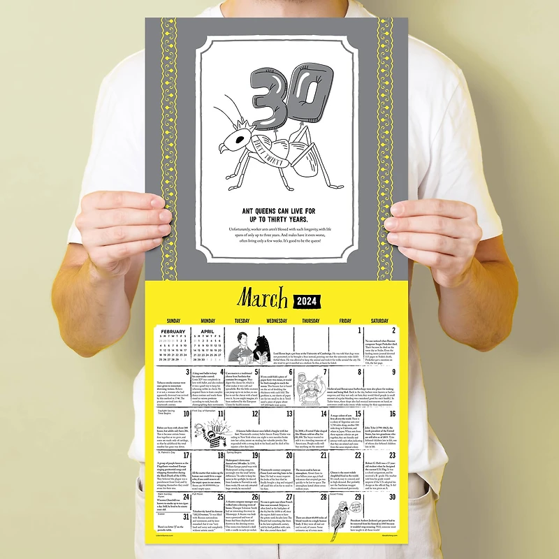 TF Publishing 2024 Insane But True Wall Calendar