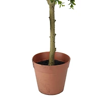 26" Potted Two-Tone Artificial Sweet Grass Tree