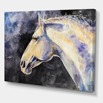 Designart - The Head of A Lipizzan Horse