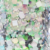 Disco Party Specialty Polyester Glitter by Recollections™