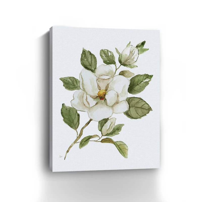 Magnolia Morning I Canvas Giclee