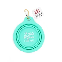 Teal Collapsible Pet Bowl by Fab Finds