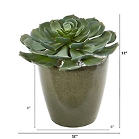 12" Echeveria Succulent in Planter