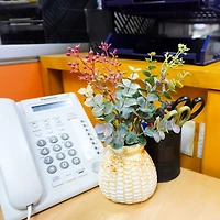 Green Seeded Eucalyptus Pick by Ashland®